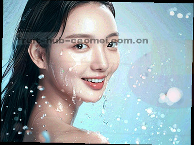 丝瓜络应用条目分类示意